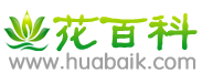 可可